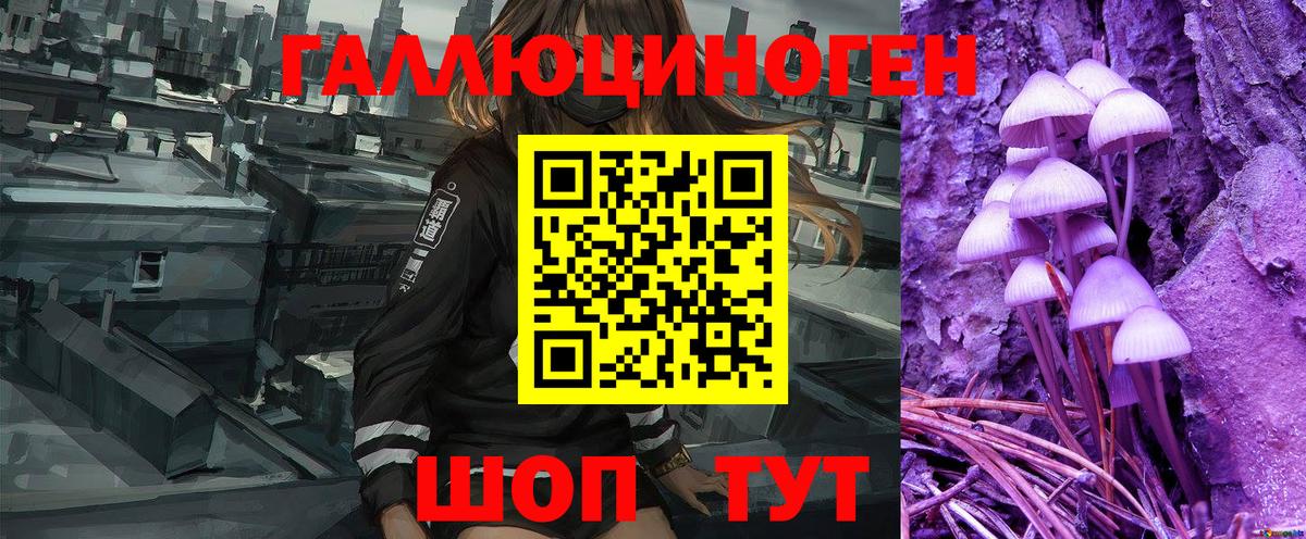 Псилоцибиновые грибы GOLDEN TEACHER Гуково