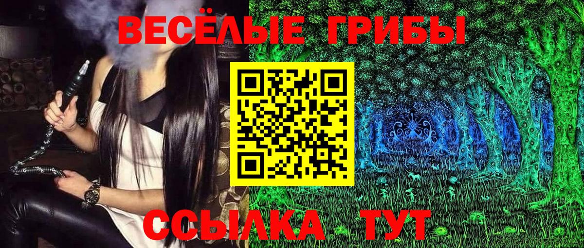 Галлюциногенные грибы MAGIC MUSHROOMS  Вход с VPN  Гуково 