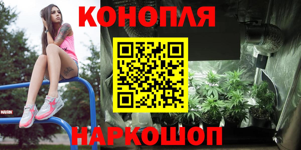 Бошки марихуана планчик  Вход с VPN  Марихуана индика  Каннабис SATIVA & INDICA  Шишки марихуана Amnesia  Гуково 